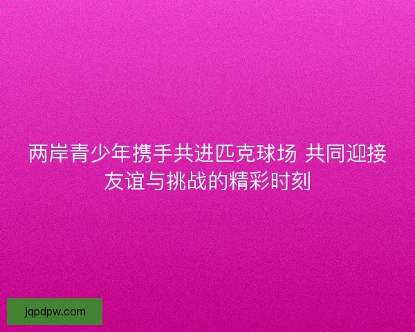 两岸青少年携手共进匹克球场 共同迎接友谊与挑战的精彩时刻